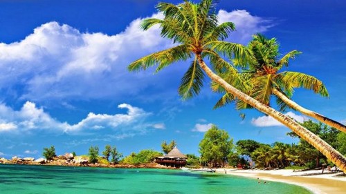 تور دهلی+ آگرا+ گوا نوروز 1405