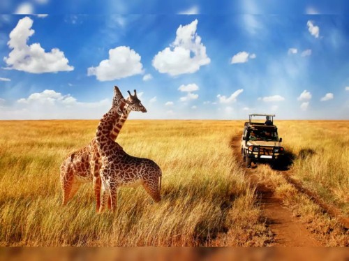 تور آفریقای جنوبی 10شب نوروز 1405(پرواز امارات)